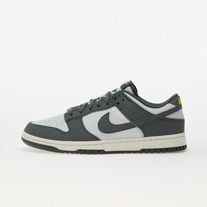 Sneakers Nike Dunk Low Next Nature Iron Grey/Photon Dust-Coconut Milk imagine