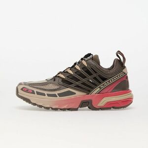 Sneakers Salomon ACS Pro Falcon/ Sugar Coral/ Cement imagine