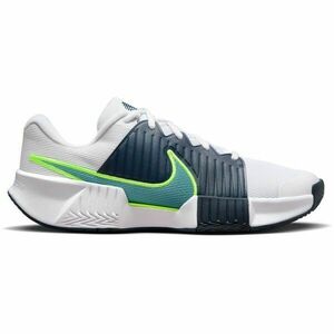 Nike GP CHALLENGE PRO Încălțăminte de tenis bărbați, alb, mărime 44 imagine