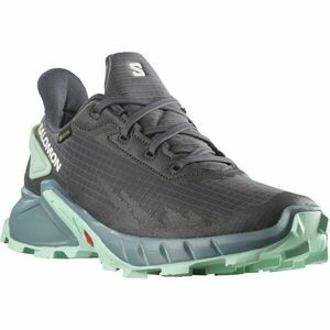 Salomon ALPHACROSS 4 GTX W Încălțăminte trail femei, gri, mărime 38 2/3 imagine