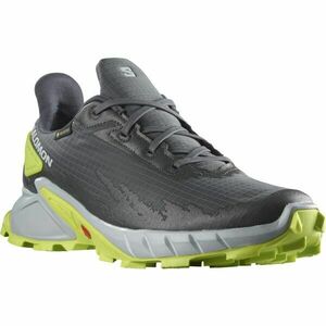 Salomon ALPHACROSS 4 GTX Pantofi trail bărbați, gri, mărime 42 imagine