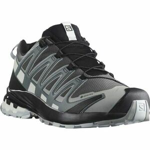 Salomon XA PRO 3D V8 GTX Încălțăminte de trail bărbați, gri, mărime 46 imagine