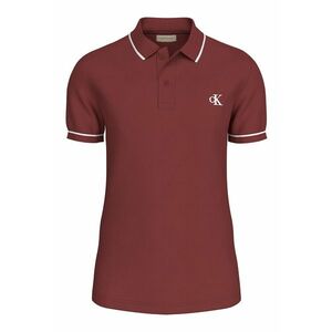 Tricou polo slim fit imagine