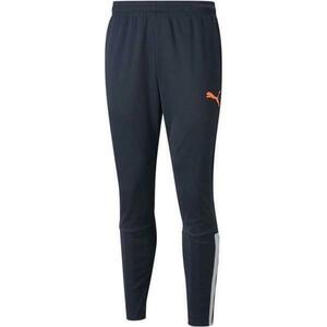 Pantaloni barbati Puma Teamliga Training Pants 65724247, M, Albastru imagine