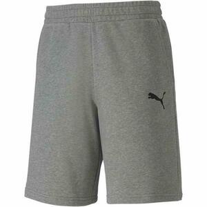 Pantaloni scurti barbati Puma TeamGoal 23 65658133, M, Gri imagine