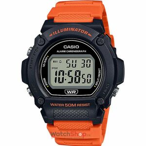 Ceas Casio COLLECTION W-219H-4A imagine