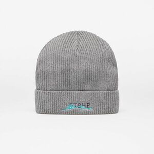 FTSHP Beanie Mid Heather Grey imagine