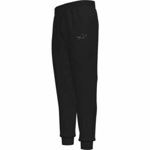 PANTALONI Puma ESSENTIALS PANTS imagine