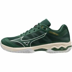 Mizuno WAVE EXCEED LIGHT CC Încălțăminte de tenis bărbați, verde, mărime 41 imagine