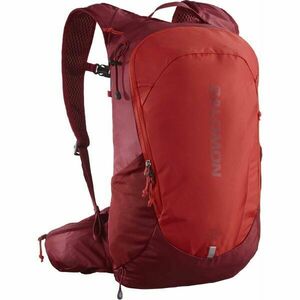 Salomon TRAILBLAZER 20 Rucsac outdoor unisex, vișiniu, mărime imagine