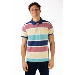 Tricou polo de bumbac in dungi imagine