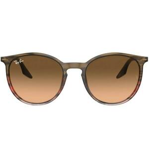 Ray-Ban RB2204 13953B imagine