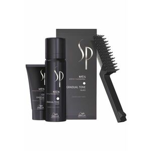 Set ingrijire par SP Men: Nuantator SP Men Gradual - 60 ml + Sampon SP Men Sensitive - 30 ml + Perie imagine