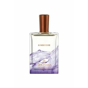 Apa de Parfum Gingembre - Unisex - 75 ml imagine