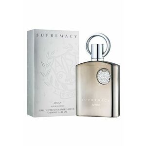 Apa de parfum Supremacy Silver - Barbati - 100ml imagine