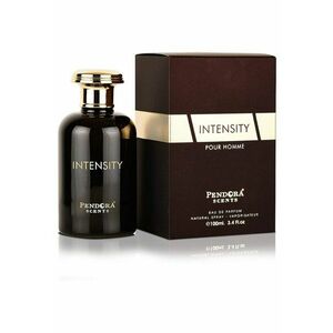 Apa de Parfum Intensity - Barbati - 100 ml imagine