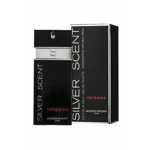 Apa de Toaleta Silver Scent Intense - Barbati - 100ml imagine