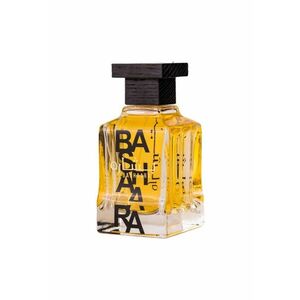 Apa de Parfum Bashaara - Barbati - 100ml imagine