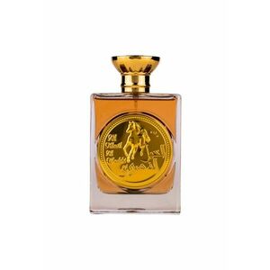 Apa de Parfum Al Khail Al Dhabhi - Barbati - 100ml imagine