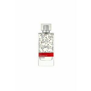 Apa de Parfum Aromatic Rouge - Femei - 100 ml imagine