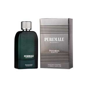 Apa de parfum Pendora Scents Pure Male - Barbati - 100 ml imagine