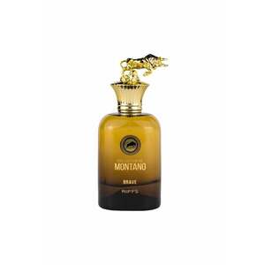 Apa de Parfum Collection De Montano Brave - Barbati - 100 ml imagine