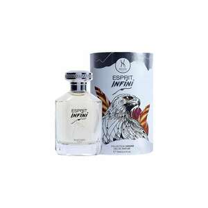 Apa de Parfum Esprit Infini Parfums - Unisex - 100 ml imagine