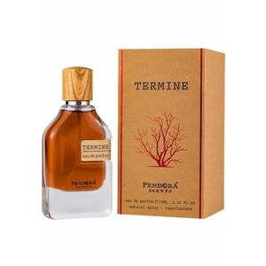 Apa de Parfum Termine Pendora Scents Unisex - 100 ml imagine