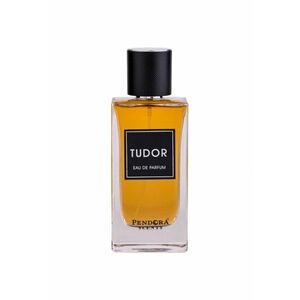 Apa de parfum Tudor - Barbati - 100ml imagine