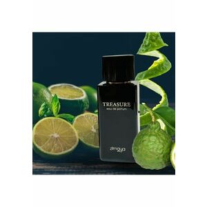 Apa de Parfum Treasure - Unisex - 100 ml imagine