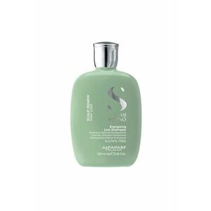 Sampon impotriva caderii parului Semi di Lino Scalp Energizing Shampoo - 250 ml imagine