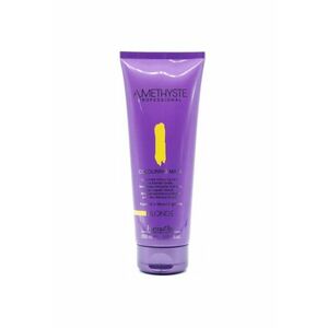 Masca coloranta Amethyste Blonde - 250 ml imagine