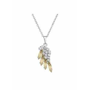 Colier cu cristale Swarovski Crystal / Golden Shadow 7430-6046-03 - Argintiu - Auriu imagine