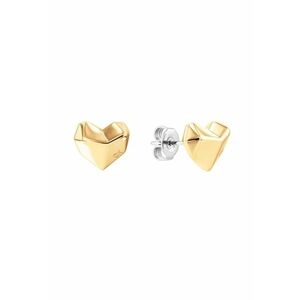 Cercei Woman’s Collection stud heart 35000042 - Auriu imagine