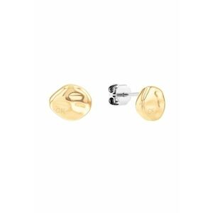 Cercei Woman’s Collection stud 35000117 - Auriu imagine