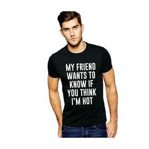 Tricou negru barbati - My Friend Wants To Know imagine