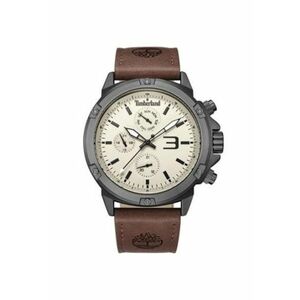 Ceas barbatesc - TDWGF9002903 - 46mm - Argintiu/Maro imagine