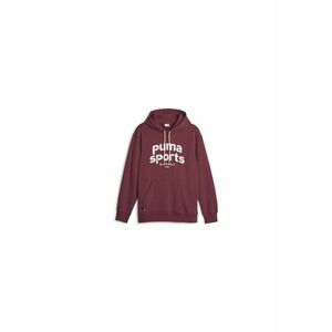 Hanorac Team Hoodie Fl 62520622 imagine