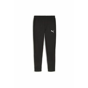 PANTALONI Puma EVOSTRIPE PANTS imagine