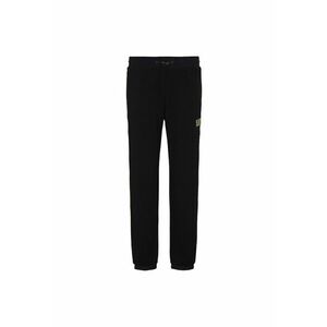 Pantaloni trening TRAIN GOLD LABEL M PANTS CH PQ 6RPP70PJG1Z01200 imagine