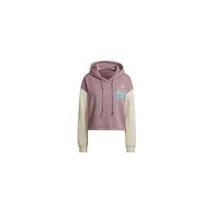 Hanorac HOODIE HD9784 imagine