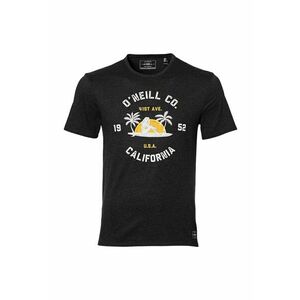 Tricou Oneill LM Surf Co. T-shirt 8A23289010 Barbati imagine