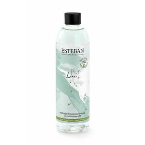 Esteban complement la difuzor 250 ml imagine