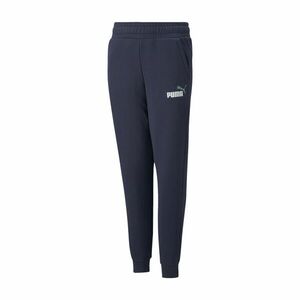 ESS+ 2 Col Logo Pants FL cl B imagine