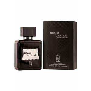 Apa de Parfum Genial Attitude Barbati - 100 ml imagine