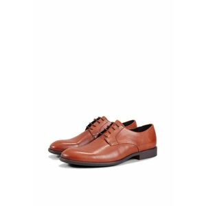 Pantofi derby de piele Harvey imagine