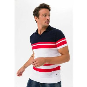 Tricou polo de bumbac cu dungi imagine