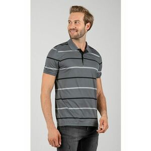 Tricou polo de bumbac cu model in dungi imagine