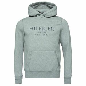 Tommy Hilfiger Bărbați Hanorac imagine