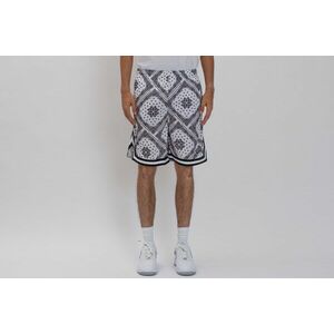 Woven Signature Paisley Mesh Shorts imagine